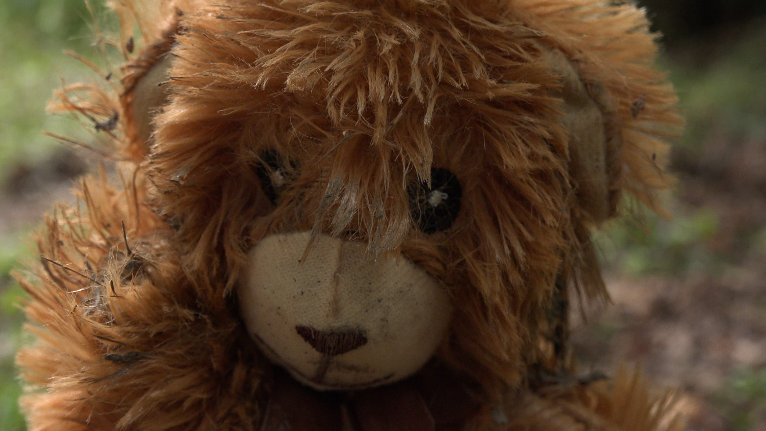 “Seeds” to premiere at the Portland Horror Film Festival
